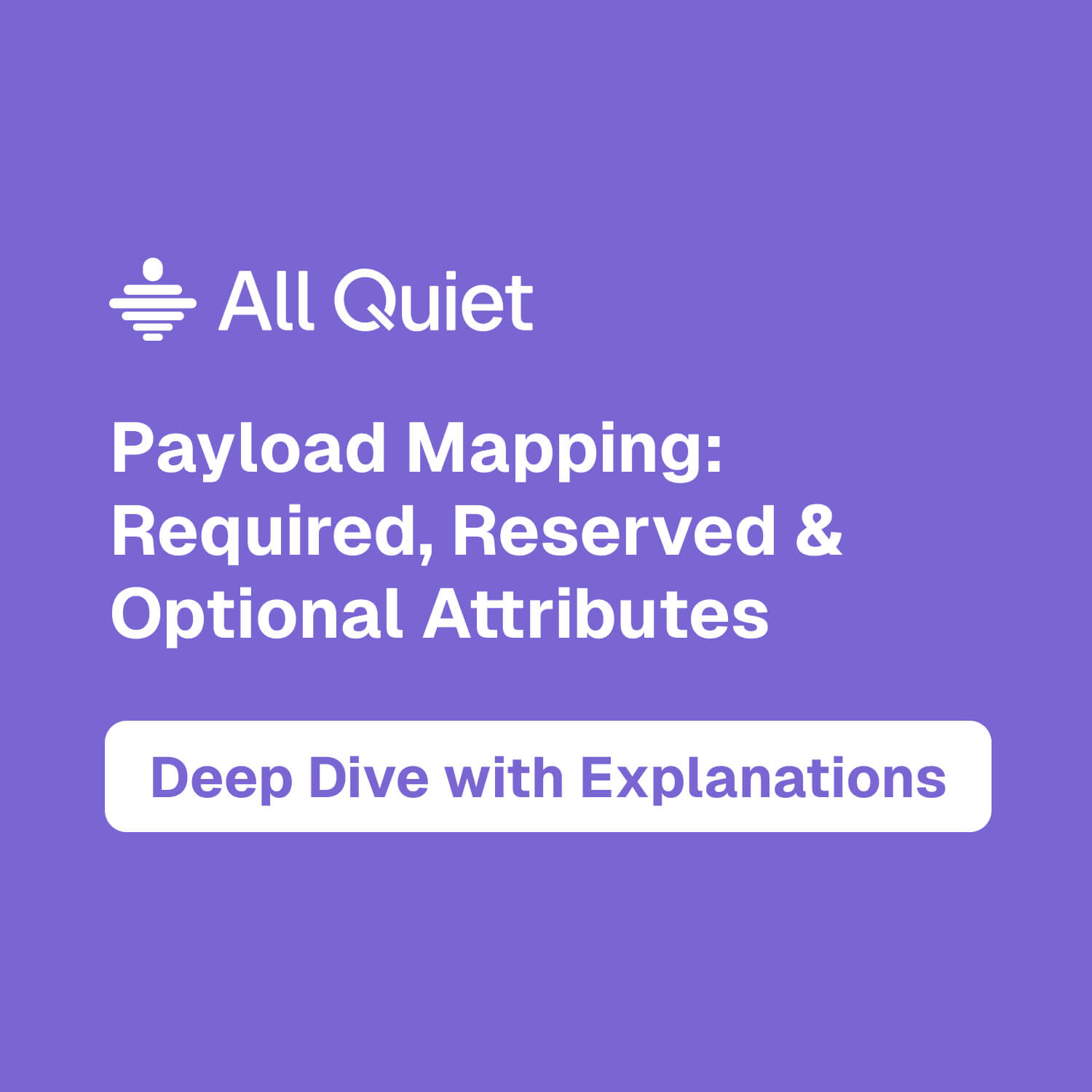 Image Video tutorial thumbnail about required, reserved and optional payload mapping attributes